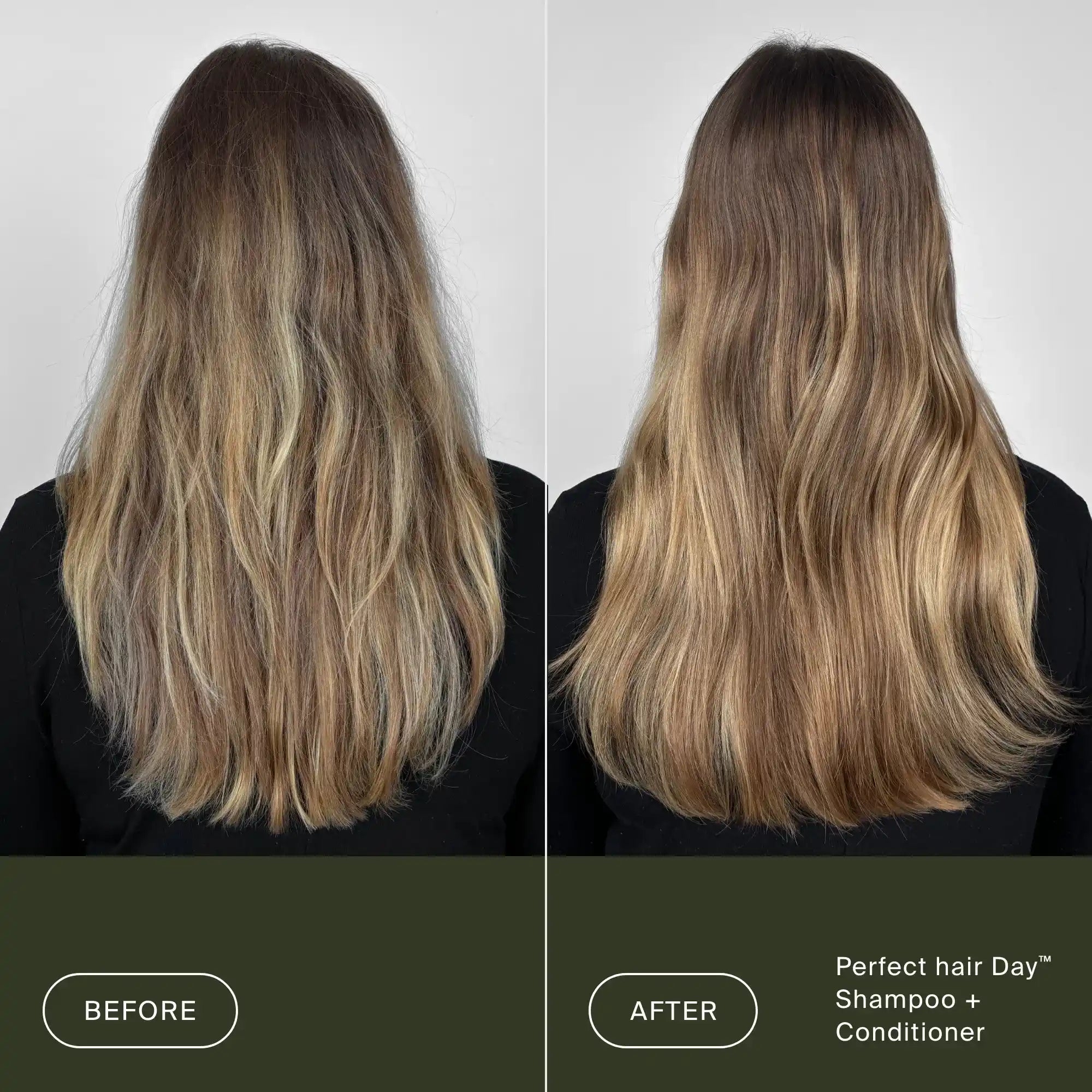 Perfect hair Day™ (PhD) Shampoo